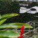 instituto-de-matematica-abre-inscricoes-para-olimpiada-mirim