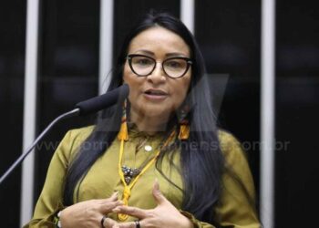 Responsabilidade com as Contas de Campanha: O Caso Silvia Waiãpi