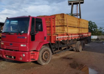 Polícia Federal e Ibama realizam operação contra comércio irregular de produtos florestais no Maranhão