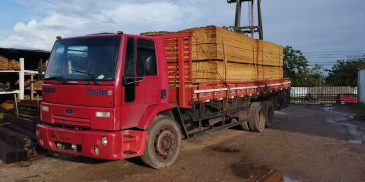 Polícia Federal e Ibama realizam operação contra comércio irregular de produtos florestais no Maranhão